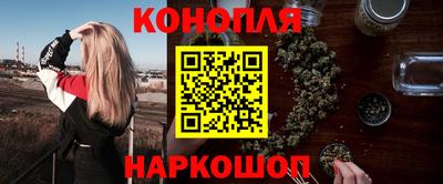 стаф Донской