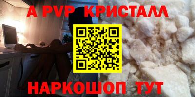 стаф Донской