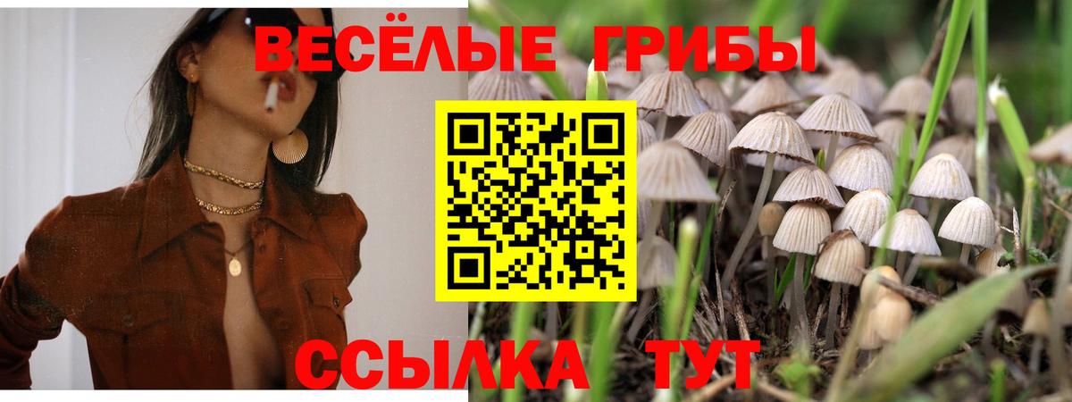 Псилоцибиновые грибы ЛСД Люберцы